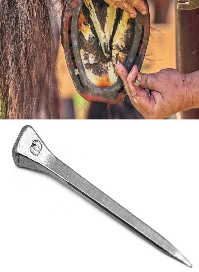 Surf turtle E5 Horseshoe Nails 50 Pcs 2 Inches Low Carbon Steel Horse Hoof Nails Horse Training Supplies Tool for Securing Firmly - Image 5